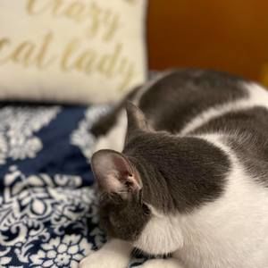 Meet your Posher, Cheri